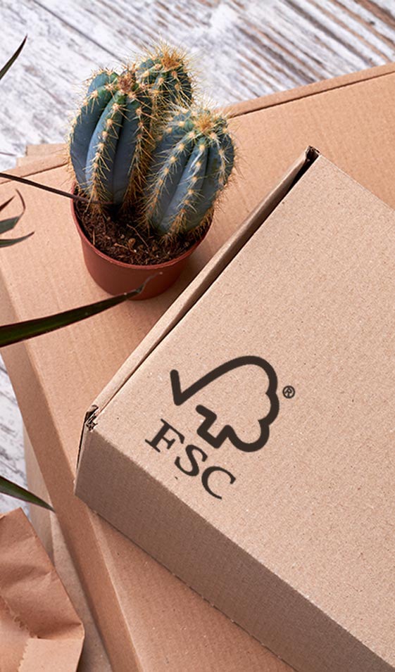 FSC Box